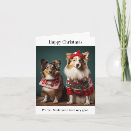 Shetland Sheepdogs Happy Christmas Card Karte (Vorderseite)