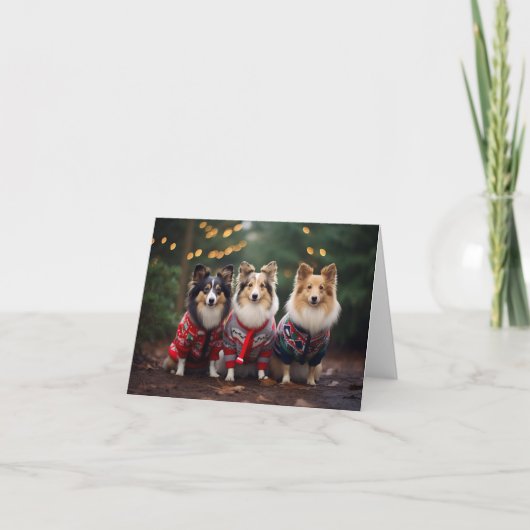 Shetland Sheepdogs Weihnachtskarte Karte (Vorderseite)