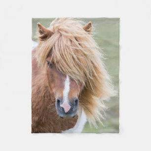 Shetlandpony auf der Insel Unst Fleecedecke