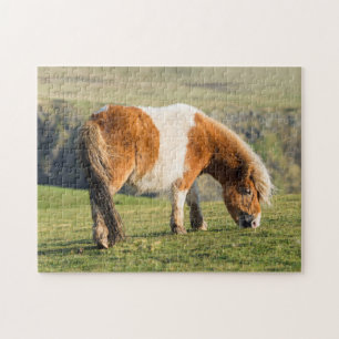 Shetlandpony auf Weide in der Nähe hoher Klippen Puzzle