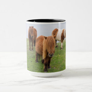 Shetlandpony auf Weide in der Nähe hoher Klippen Tasse