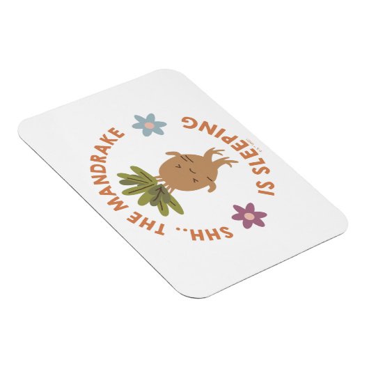 Shh.. Der Mandrake schläft Magnet (Rechte Seite)