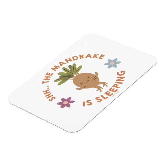 Shh.. Der Mandrake schläft Magnet (Linke Seite)