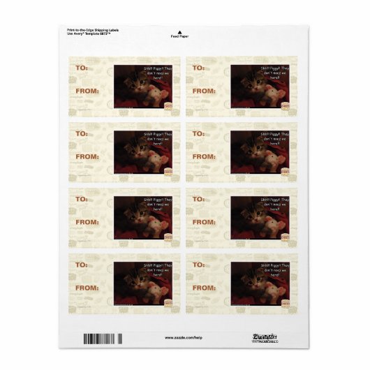 Shh!! Schweine! (Vorne)