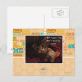 Shh!! Schweine! Postkarte (Vorne/Hinten)
