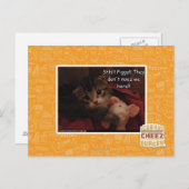 Shh!! Schweine! Postkarte (Vorne/Hinten)