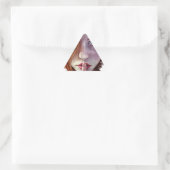 Shhh Dreieckiger Aufkleber (Tasche)