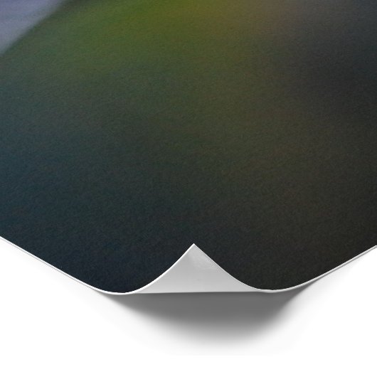 Shi Shi Camellia Poster (Ecke)