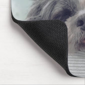 shi tzu, Hund, Haustier Mousepad (Ecke)