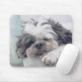 shi tzu, Hund, Haustier Mousepad (Mit Mouse)