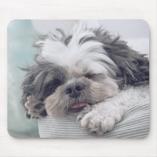shi tzu, Hund, Haustier Mousepad (Vorne)
