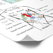 Shiatsu Akupunktur Meridians Hara Diagnosekarte Poster (Ecke)