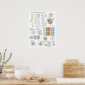 Shiatsu Akupunktur Meridians Hara Diagnosekarte Poster (Küche)