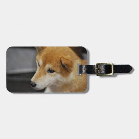 shiba-inu-2.jpg gepäckanhänger (Vorderseite horizontal)