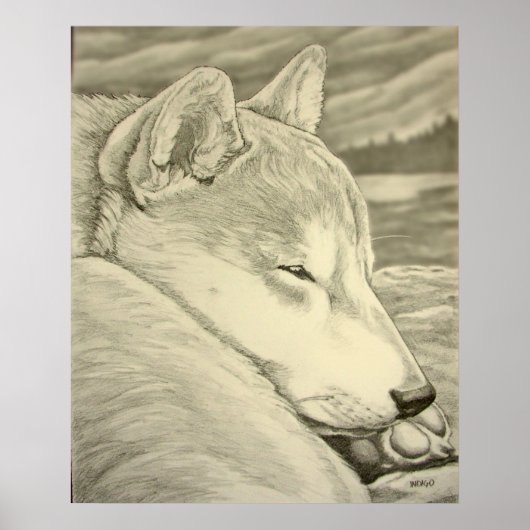 Shiba Inu Art Poster Hund Art Poster Shiba Inu Ges (Vorne)