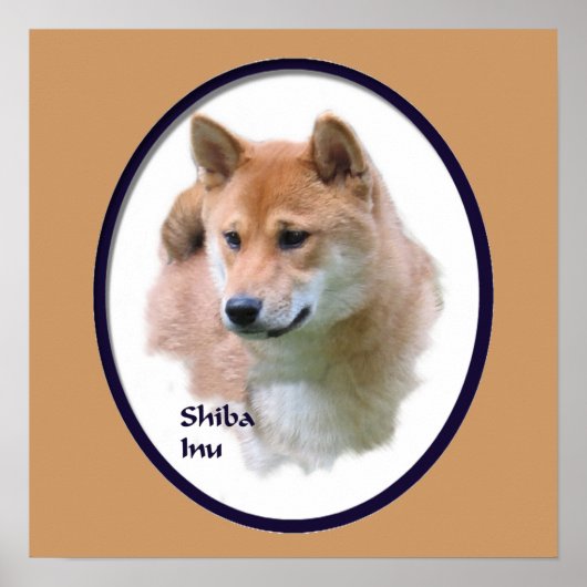 Shiba Inu Art Print Poster (Vorne)
