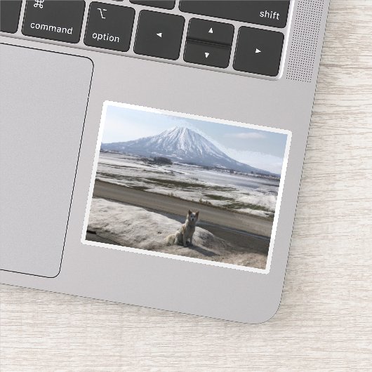 Shiba Inu Aufkleber (Detail)