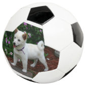 Shiba-inu-Creme Fußball (Dreiviertel)