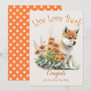 Shiba Inu Dog Adoption, Gotcha Tag Karte