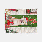 Shiba Inu Dog Christmas Fleecedecke (Vorderseite (Horizontal))