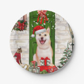Shiba Inu Dog Christmas Pappteller (Vorderseite)