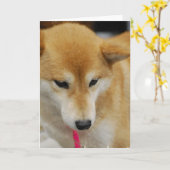 Shiba Inu Dog Grußkarte Karte (Gelbe Blume)