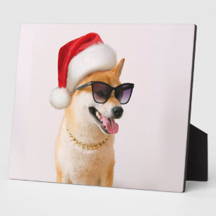 Shiba Inu dog in Santa Claus red hats Fotoplatte