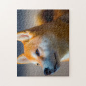 Shiba Inu Dog Jigsaws. Puzzle (Vertikal)