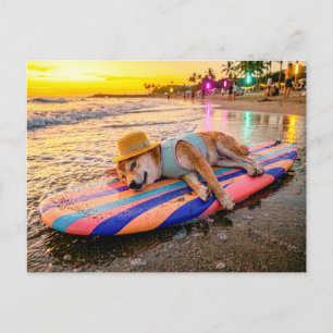 Shiba Inu entspannt auf Sunset-Surfboard Postkarte