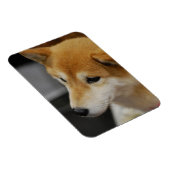 Shiba Inu Flexible Magnet (Rechte Seite)