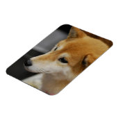 Shiba Inu Flexible Magnet (Linke Seite)