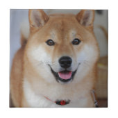 Shiba_inu Fliese (Vorderseite)
