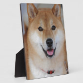 Shiba inu fotoplatte (Seite)