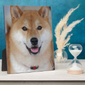 Shiba inu fotoplatte (Seite)
