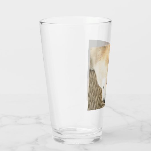 Shiba inu glas (Rechts)