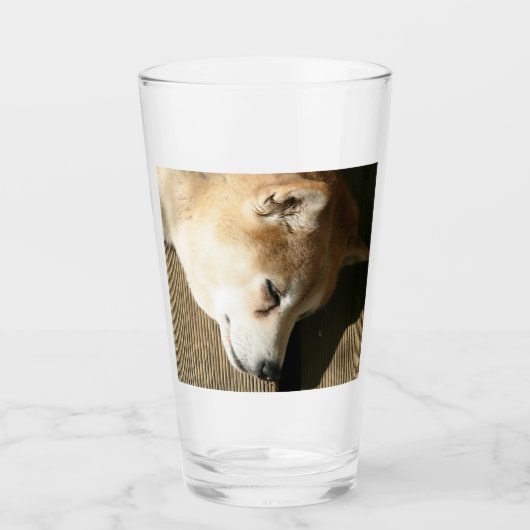 Shiba inu glas (Vorderseite)