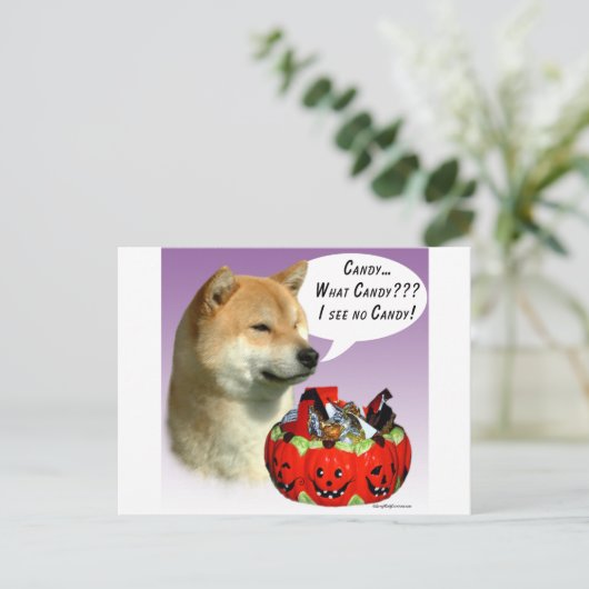 Shiba Inu Halloween Candy Postkarte (Stehend Vorderseite)