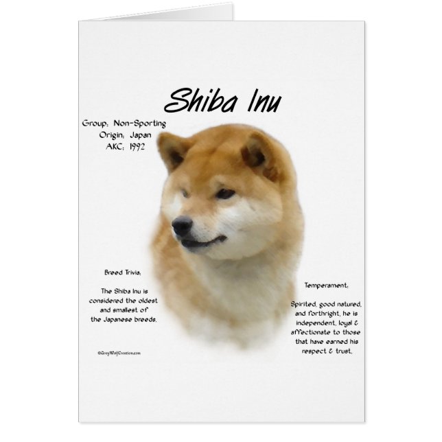 Shiba Inu History (Vorne)