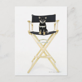Shiba Inu Hund auf dem Stuhl des Regisseurs Postkarte