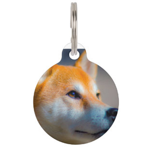 Shiba Inu Hund. Haustiermarke