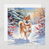 Shiba Inu Hund in Schnee Frohe Weihnachten (Vorne/Hinten)