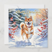 Shiba Inu Hund in Schnee Frohe Weihnachten (Vorderseite)