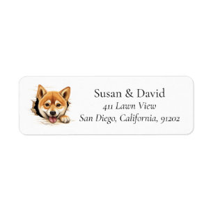 Shiba Inu Hund Rasse Pet Lovers
