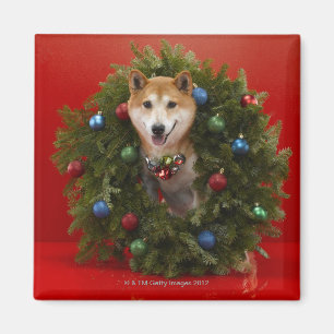 Shiba Inu Hund sitzend im Weihnachtskranz Magnet
