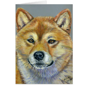 Shiba Inu Hundekunst - Suki