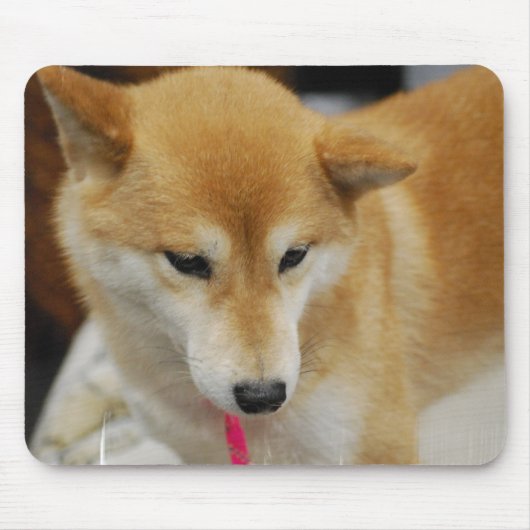 Shiba Inu Hundemausunterlage Mousepad (Vorne)
