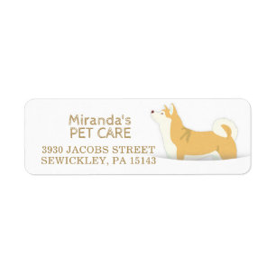 Shiba Inu Hundepflege Sitzen Baden & Grooming