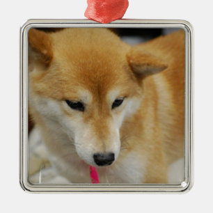Shiba Inu Hundeverzierung Ornament Aus Metall