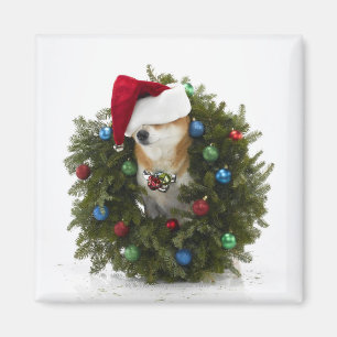 Shiba Inu Hundtragende Weihnachtsmannmütze, die Magnet
