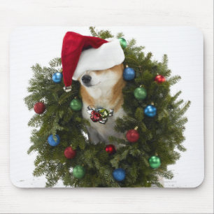 Shiba Inu Hundtragende Weihnachtsmannmütze, die Mousepad